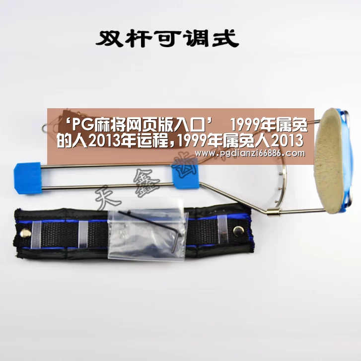 ‘PG麻将网页版入口’
1999年属兔的人2013年运程,1999年属兔人2013年运势(图1) PG电子登录入口