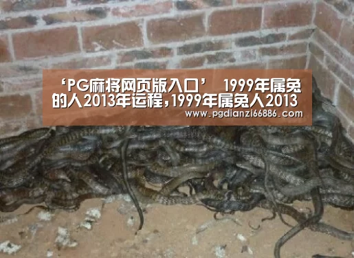 ‘PG麻将网页版入口’
1999年属兔的人2013年运程,1999年属兔人2013年运势(图2) PG真人麻将