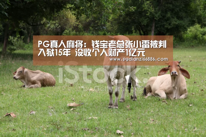 PG真人麻将:钱宝老总张小雷被判入狱15年 没收个人财产1亿元(图4) PG电子登录入口